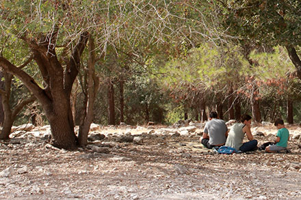 מטיילים בצל עצי אלון בהר העגול. צילום: יעקב שקולניק, ארכיון הצילומים של קקל
