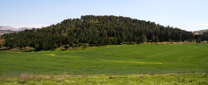 תל עדולם בחורף. צילום: יעקב שקולניק, ארכיון הצילומים של קקל