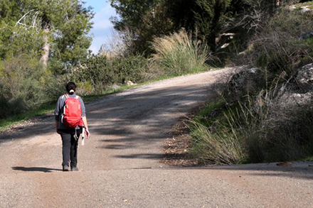 הדרך הסלולה לראש התל. צילום: יעקב שקולניק, ארכיון הצילומים של קקל