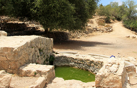 השוקת בעין חוד. צילום: יעקב שקולניק, ארכיון הצילומים של קקל