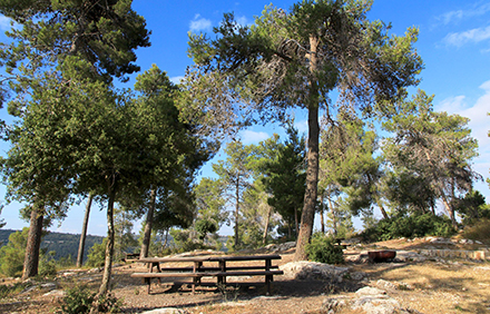 חניון משלט 15. צילום: יעקב שקולניק, ארכיון הצילומים של קקל