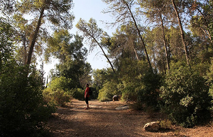 טיול בשביל סובב מצפה משואה. צילום: יעקב שקולניק, ארכיון הצילומים של קקל