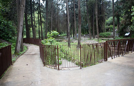 השביל המונגש בנחל השופט. צילום: אלכס קולומויסקי, ארכיון הצילומים של קקל