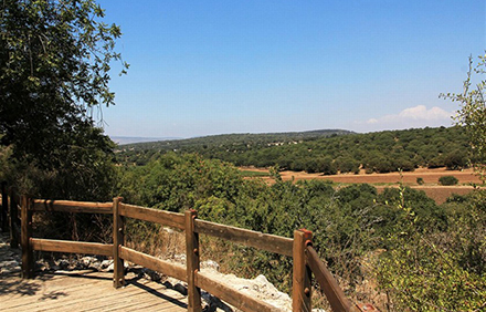 סיפון עץ ליד המערה בשביל שמשית. צילום: יעקב שקולניק, ארכיון הצילומים של קקל