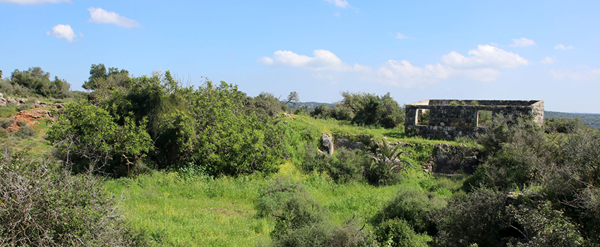 המחצבה והבית שלצדה. צילום: יעקב שקולניק, ארכיון הצילומים של קקל