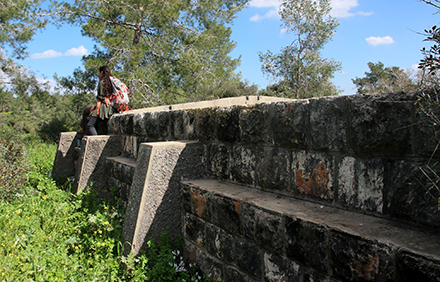 בריכת הבטון שבנו הבריטים. צילום: יעקב שקולניק, ארכיון הצילומים של קקל