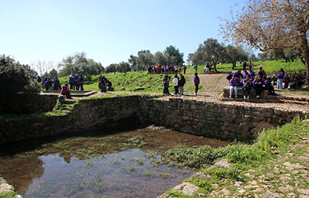 הבריכה בעין צור. צילום: יעקב שקולניק, ארכיון הצילומים של קקל