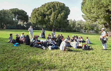 מדשאת הפארק ועצי אורן הצנובר. צילום: ארכיון הצילומים של קקל