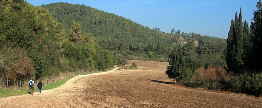 נופי רמת מנשה בשביל סובב נחל השופט. צילום: יעקב שקולניק, ארכיון הצילומים של קקל