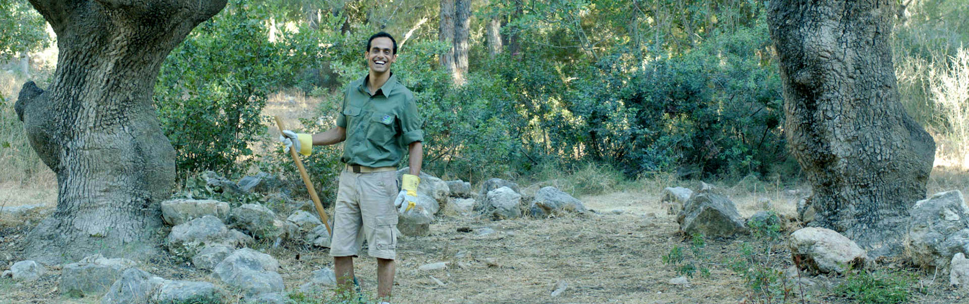 בנצי והשתולים