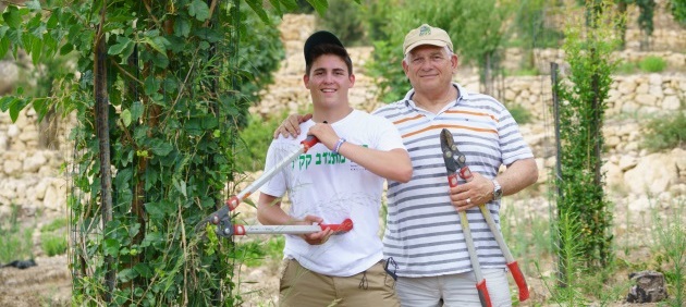 הסבא והנכד – התנדבו בקיץ בכרמל. צילום: אנצ'ו גוש, ארכיון הצילומים של קקל