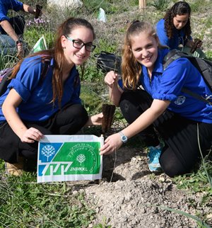 נוטעות. צילום: אבי חיון, ארכיון הצילומים של קק"ל
