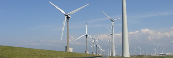 טורבינות רוח. צילום: freeimages