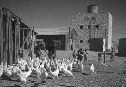 הלול בבית אשל. צילום: יעקב רוזנר, ארכיון הצילומים של קקל