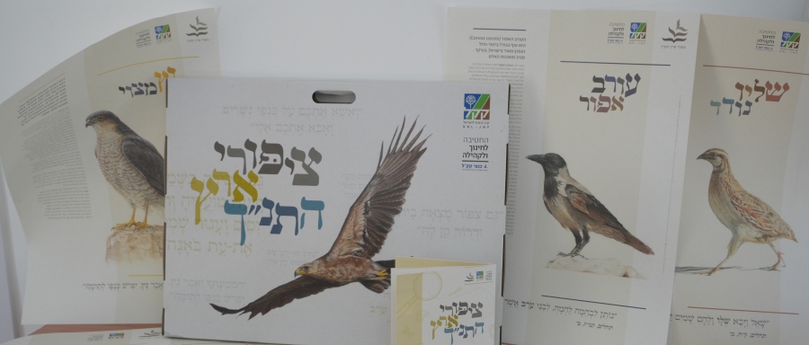 ערכת ציפורים בארץ התנך. צילום: מיכאל חורי, ארכיון הצילומים של קקל
