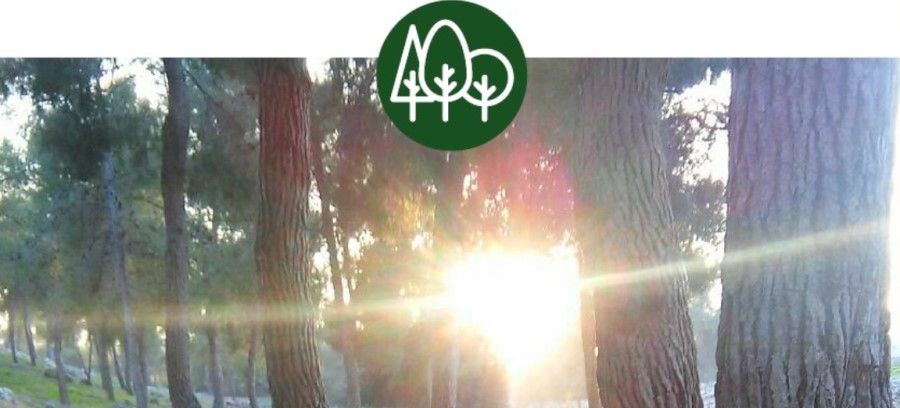 תמונה מתוך הערכה