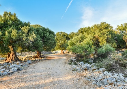 תמונה מתוך הערכה