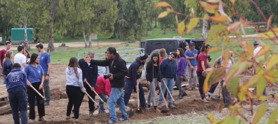 צילום: ארכיון הצילומים של קקל