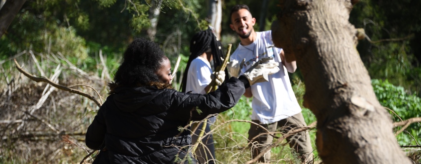 עבודה תורמת ביער. צילום: יואב לין

