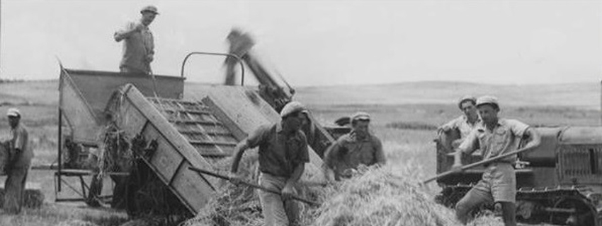 איך באי אדמה נגאלת... צילום: יוסף שוויג, ארכיון הצילומים של קקל

איך באי אדמה נגאלת... צילום: יוסף שוויג, ארכיון הצילומים של קקל

