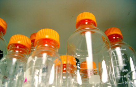 מה קורה להם אחרי השימוש? בקבוקי פלסטיק. צילום: freeimages
