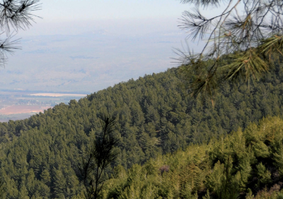 צילום: ארכיון הצילומים של קקל