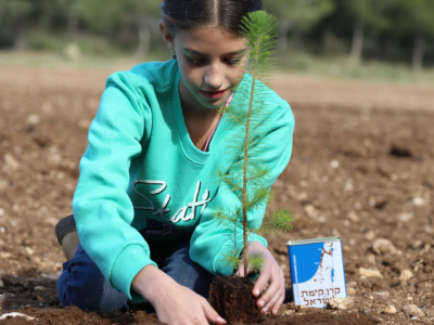 צילום: ארכיון הצילומים של קקל