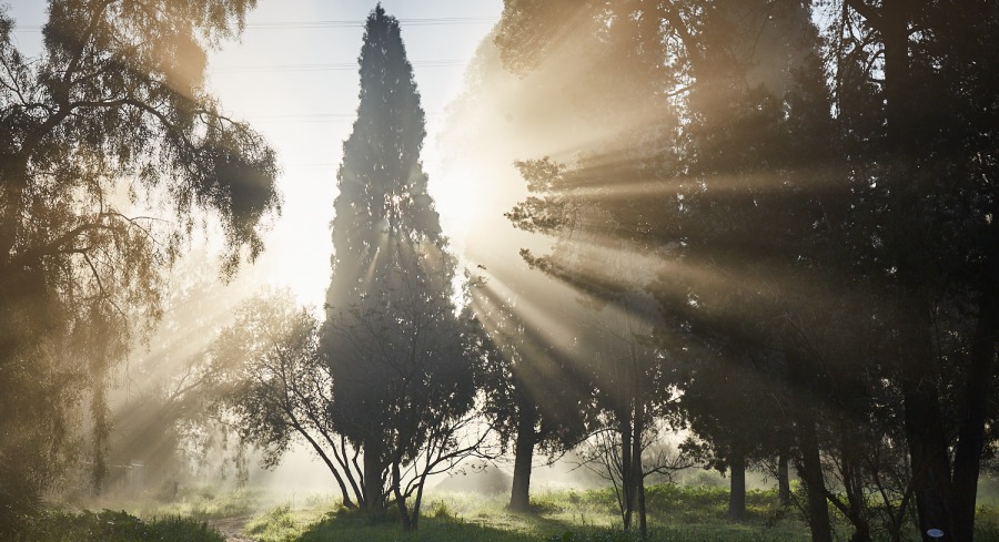 צילום: אילן פרץ, ארכיון הצילומים של קקל
