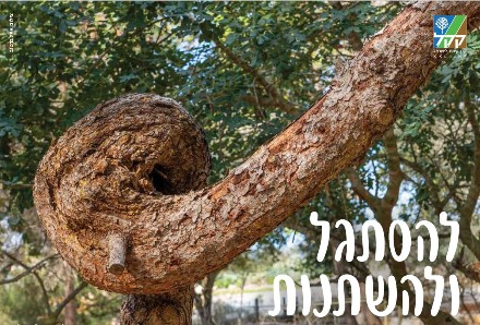 צילום: אייל ברטוב