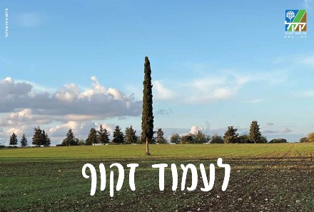 צילום: אדוה קימלפלד