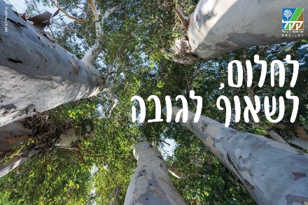 צילום: אייל ברטוב