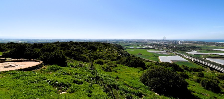חוטם הכרמל. צילום: דר כרמית שלו לייפר