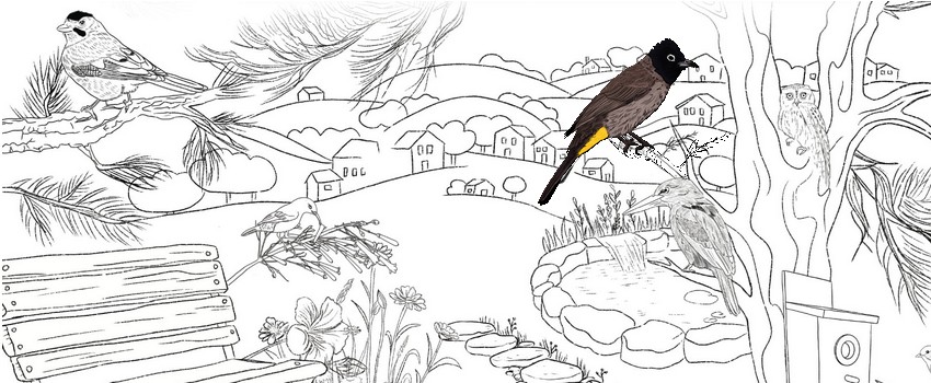 איור: נטע יסמן