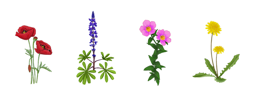 איירה: נטע יסמן