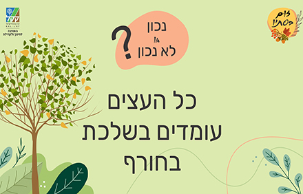 דוגמת שקופית מהמצגת: נכון לא נכון - כל העצים עומדים בשלכת