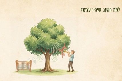 איור מהמצגת: העץ בתור חוסם רעשים