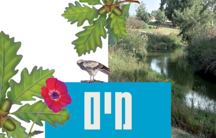 נחל זורם ואיור של יער