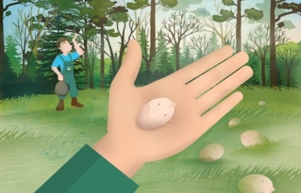 זרע על כף יד