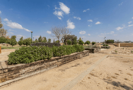 צילום: אלבטרוס, ארכיון הצילומים של קקל