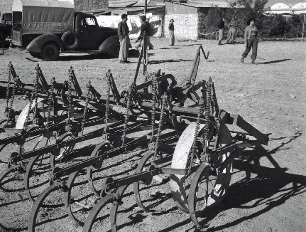 צילום: יעקב רוזנר, ארכיון הצילומים של קק''ל