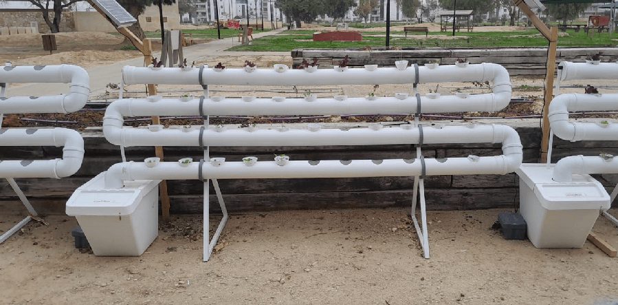 צילום: עודה, ארכיון הצילומים של קק''ל