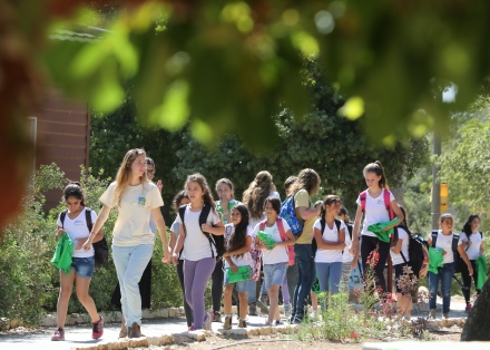 צילום: ארכיון הצילומים של קקל