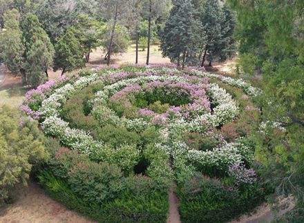 הגן הבוטני באילנות. צילום: כמאל עליאן, ארכיון הצילומים של קקל