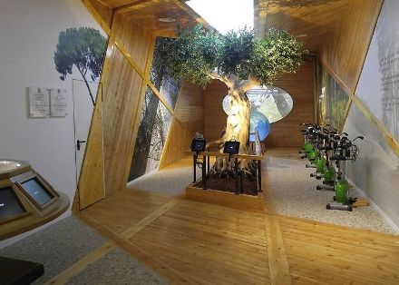 איפה נמצא היער? עמדת הגלובוס במרכז המבקרים. צילום: יואב דביר, ארכיון הצילומים של קקל