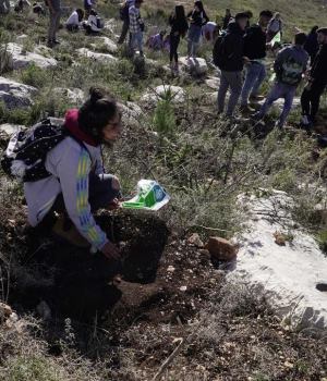 חיוך של שתילה בגליל. צילום: טל מדר
