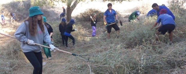 יום שהתחיל בצמחייה צפופה והסתיים בשביל פתוח. צילום: מיקי, קקל