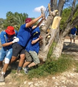 ביחד הכול אפשרי. החניכים בפארק גולדה. צילום: שני אליאב