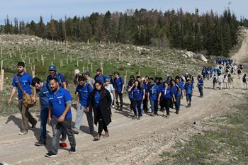 צועדים וצועדים. בני כל תנועות הנוער יחד. צילום: אבי חיון. ארכיון הצילומים של קקל