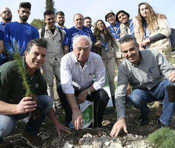 כל עץ הוא מקור של כוח. צילום: אבי חיון. ארכיון הצילומים של קקל