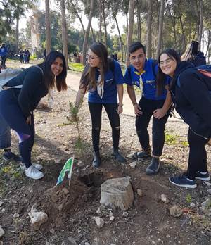 קינחו בנטיעות. צילום: מירב כורה חזן, קקל